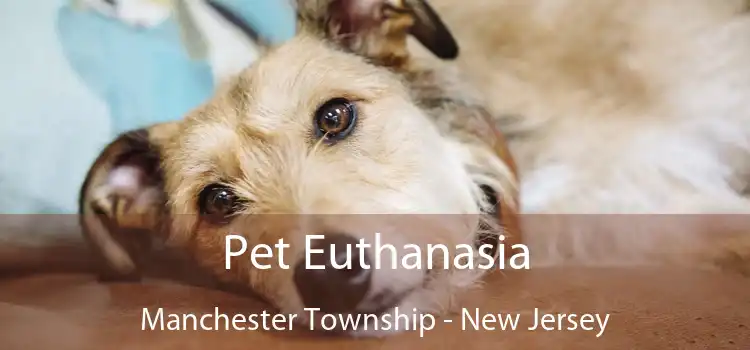 Pet Euthanasia Manchester Township - New Jersey