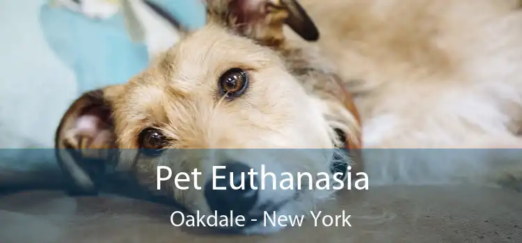 Pet Euthanasia Oakdale - New York