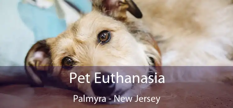 Pet Euthanasia Palmyra - New Jersey