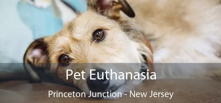 Pet Euthanasia Princeton Junction - New Jersey