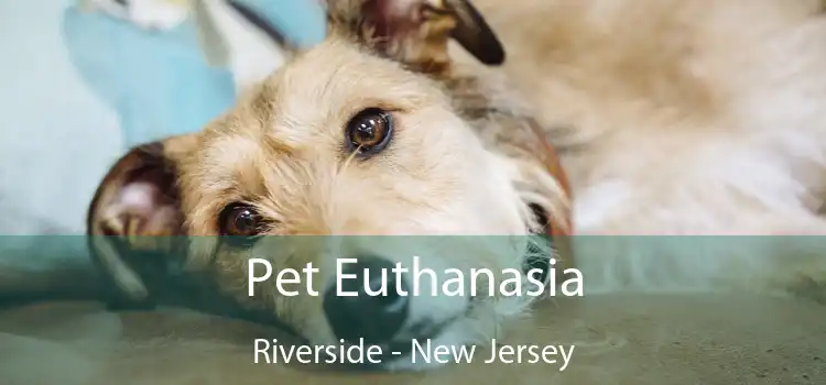 Pet Euthanasia Riverside - New Jersey