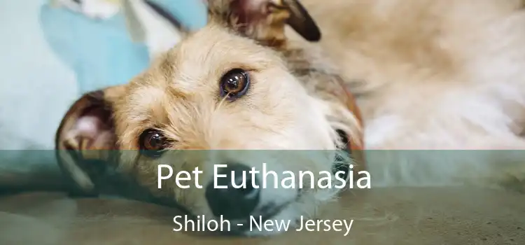 Pet Euthanasia Shiloh - New Jersey