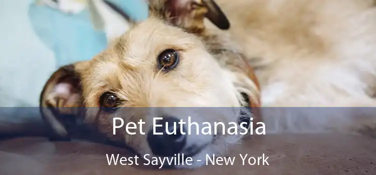 Pet Euthanasia West Sayville - New York