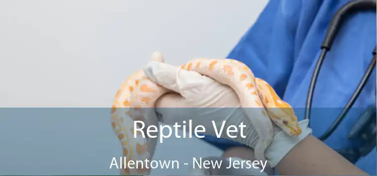 Reptile Vet Allentown - New Jersey