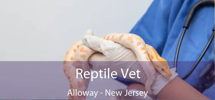 Reptile Vet Alloway - New Jersey