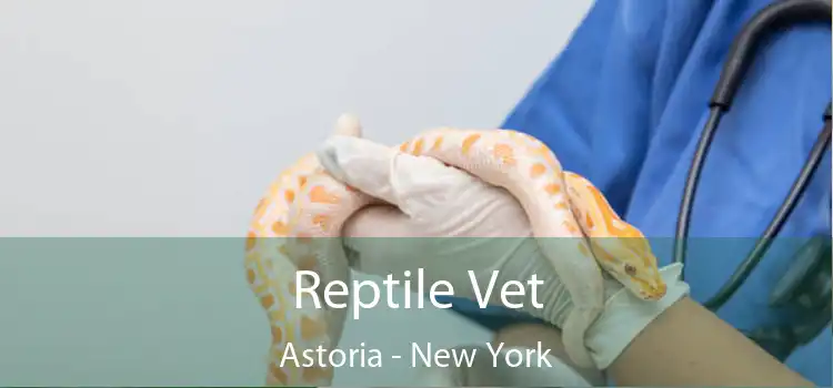 Reptile Vet Astoria - New York