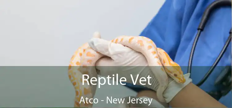 Reptile Vet Atco - New Jersey