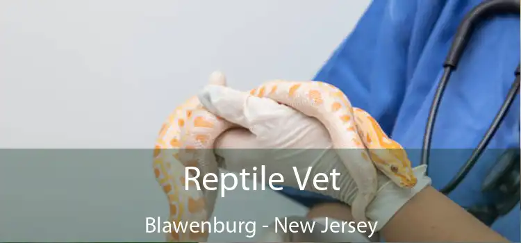 Reptile Vet Blawenburg - New Jersey