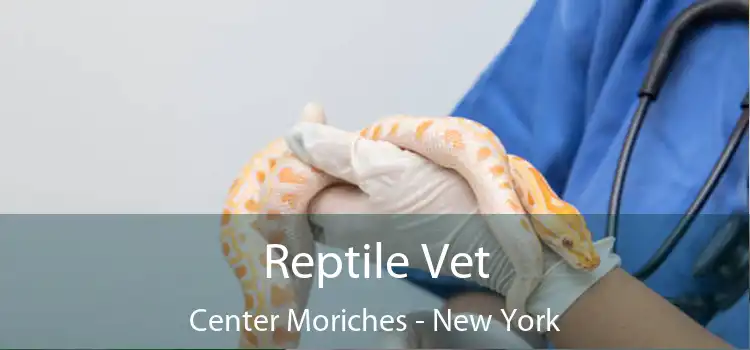 Reptile Vet Center Moriches - New York