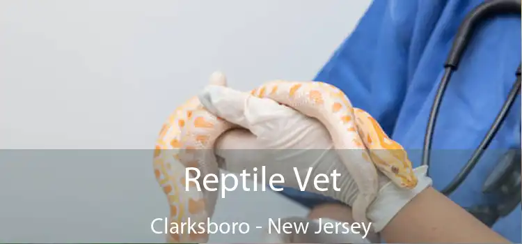 Reptile Vet Clarksboro - New Jersey