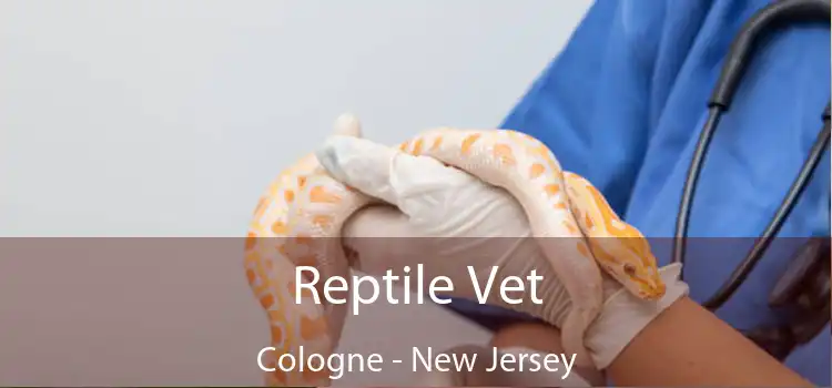 Reptile Vet Cologne - New Jersey