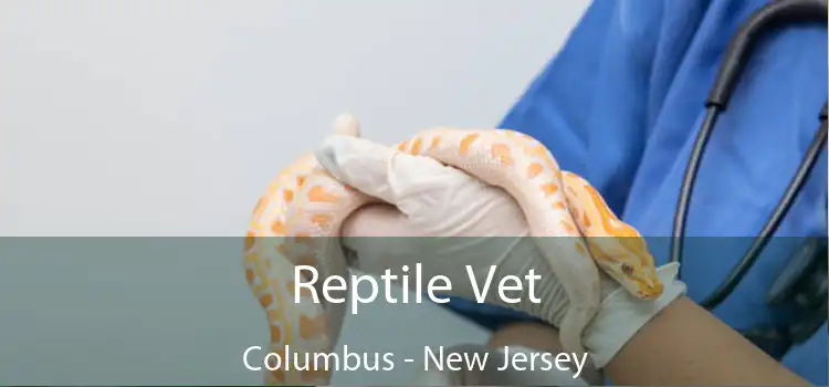 Reptile Vet Columbus - New Jersey