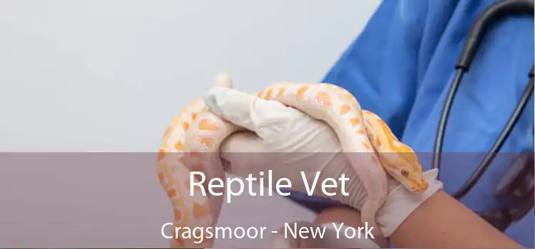 Reptile Vet Cragsmoor - New York