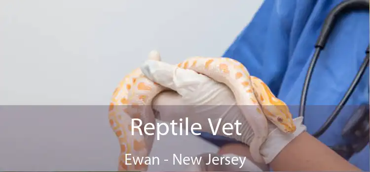 Reptile Vet Ewan - New Jersey