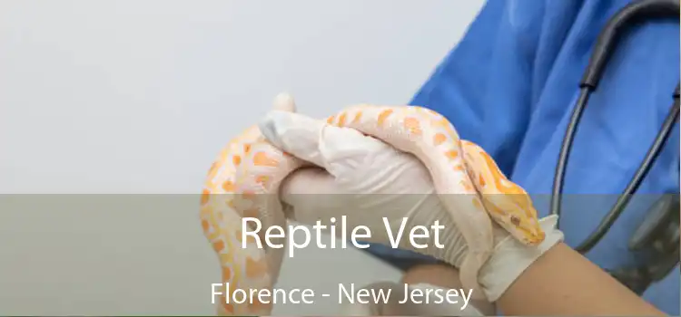 Reptile Vet Florence - New Jersey