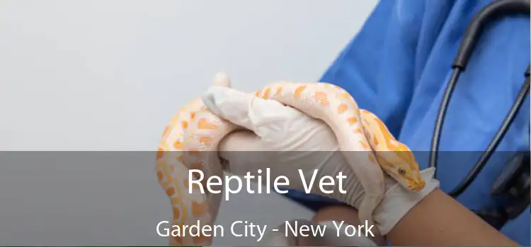 Reptile Vet Garden City - New York