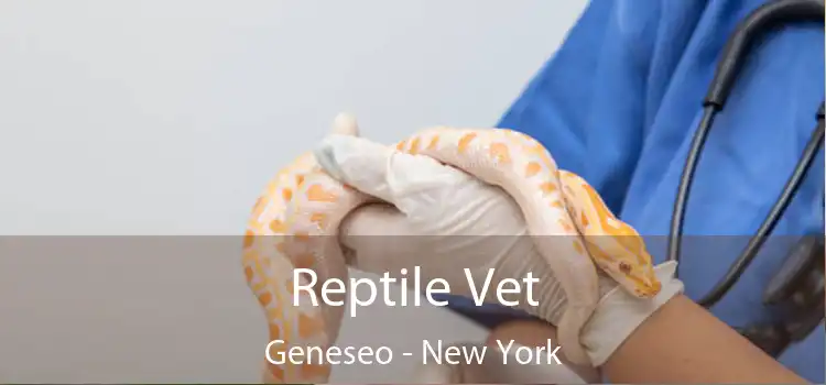 Reptile Vet Geneseo - New York