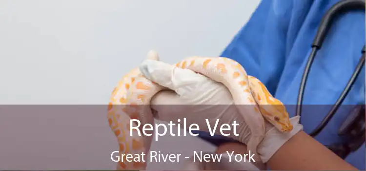 Reptile Vet Great River - New York