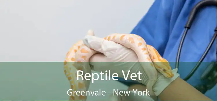 Reptile Vet Greenvale - New York