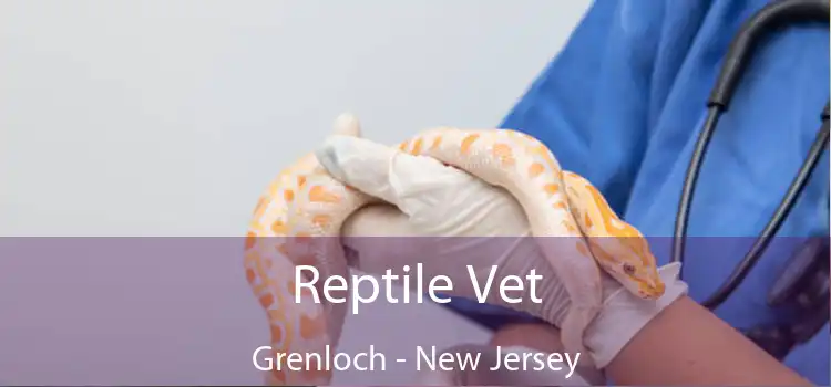 Reptile Vet Grenloch - New Jersey