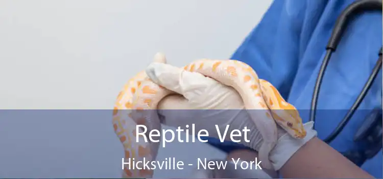 Reptile Vet Hicksville - New York