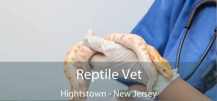 Reptile Vet Hightstown - New Jersey