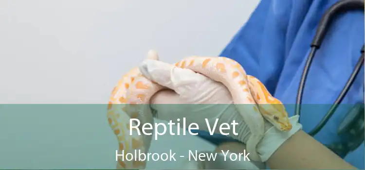 Reptile Vet Holbrook - New York