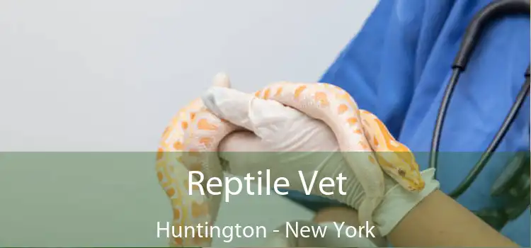 Reptile Vet Huntington - New York