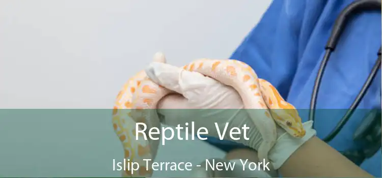 Reptile Vet Islip Terrace - New York