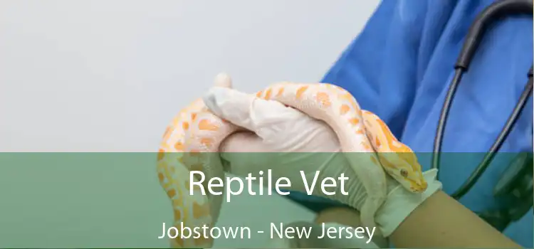 Reptile Vet Jobstown - New Jersey