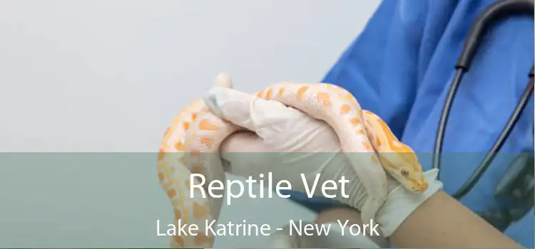 Reptile Vet Lake Katrine - New York