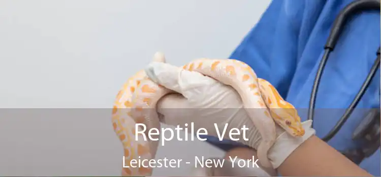 Reptile Vet Leicester - New York