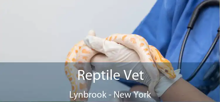 Reptile Vet Lynbrook - New York