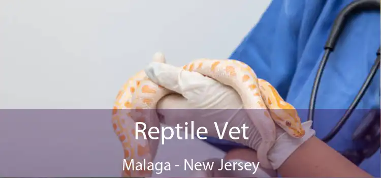 Reptile Vet Malaga - New Jersey