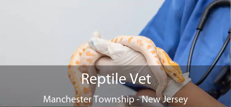 Reptile Vet Manchester Township - New Jersey