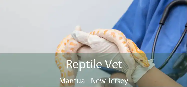 Reptile Vet Mantua - New Jersey