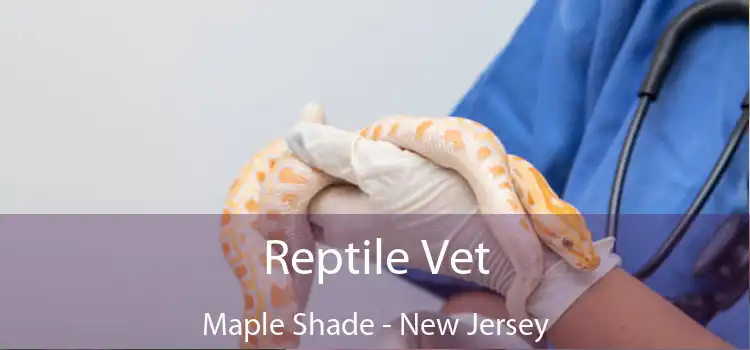 Reptile Vet Maple Shade - New Jersey