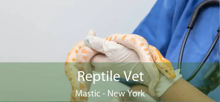 Reptile Vet Mastic - New York