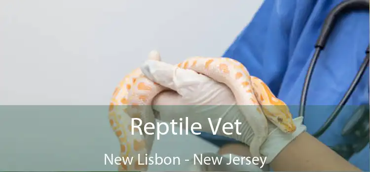 Reptile Vet New Lisbon - New Jersey