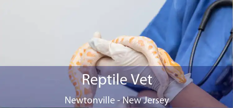 Reptile Vet Newtonville - New Jersey