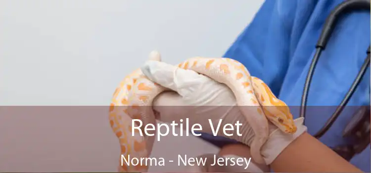 Reptile Vet Norma - New Jersey