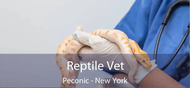 Reptile Vet Peconic - New York