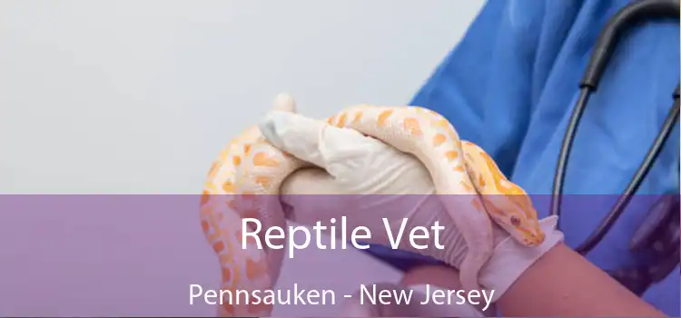 Reptile Vet Pennsauken - New Jersey