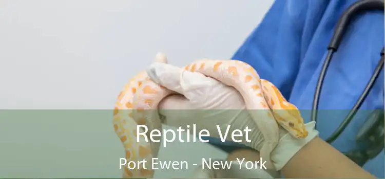 Reptile Vet Port Ewen - New York