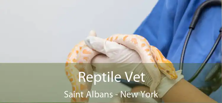 Reptile Vet Saint Albans - New York