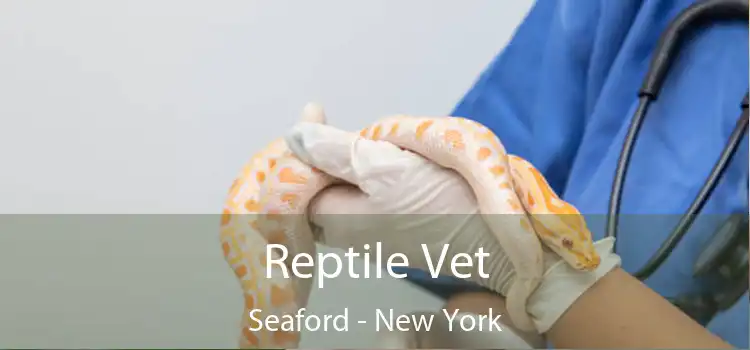 Reptile Vet Seaford - New York