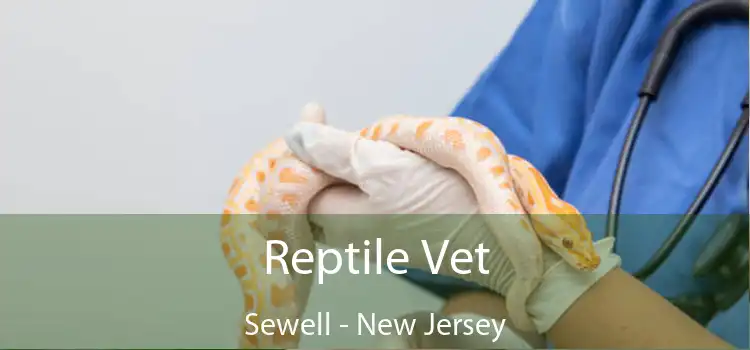 Reptile Vet Sewell - New Jersey