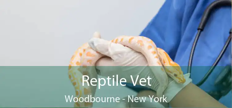 Reptile Vet Woodbourne - New York