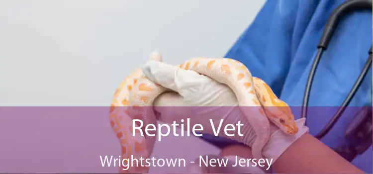 Reptile Vet Wrightstown - New Jersey