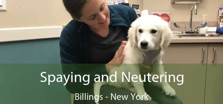 Spaying and Neutering Billings - New York